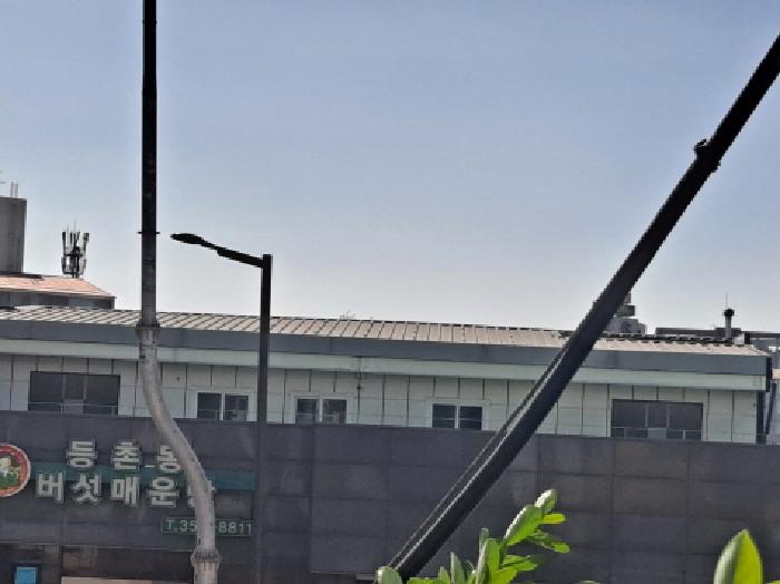 물건 사진 5
