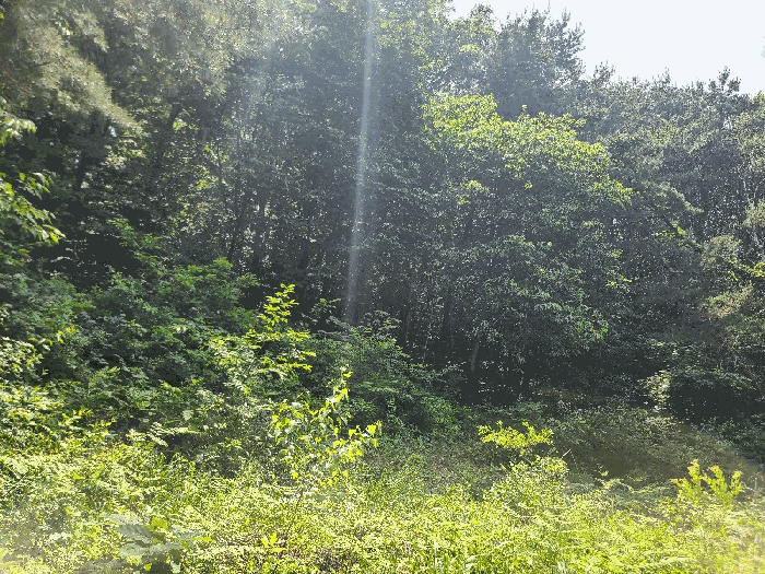 물건 사진 20
