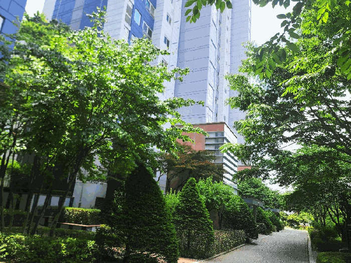 물건 사진 10