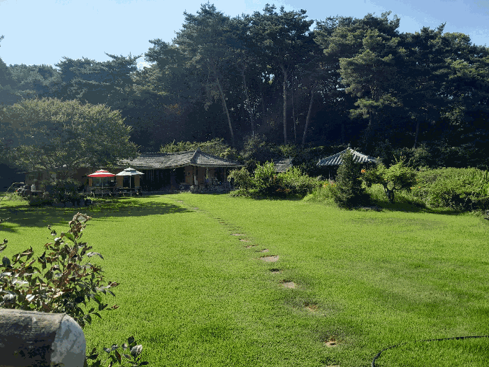 물건 사진 21