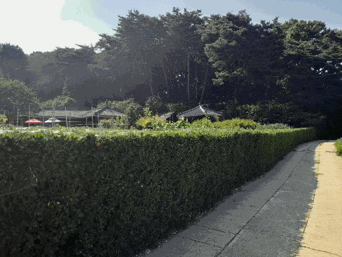 물건 사진 29
