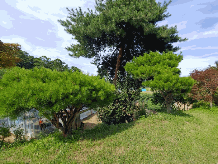 물건 사진 15