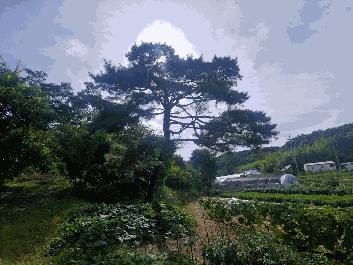 물건 사진 16