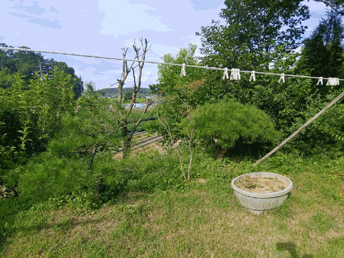 물건 사진 17