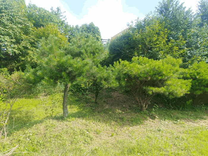 물건 사진 21