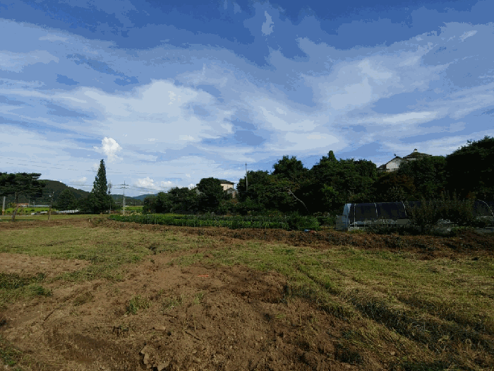 물건 사진 25