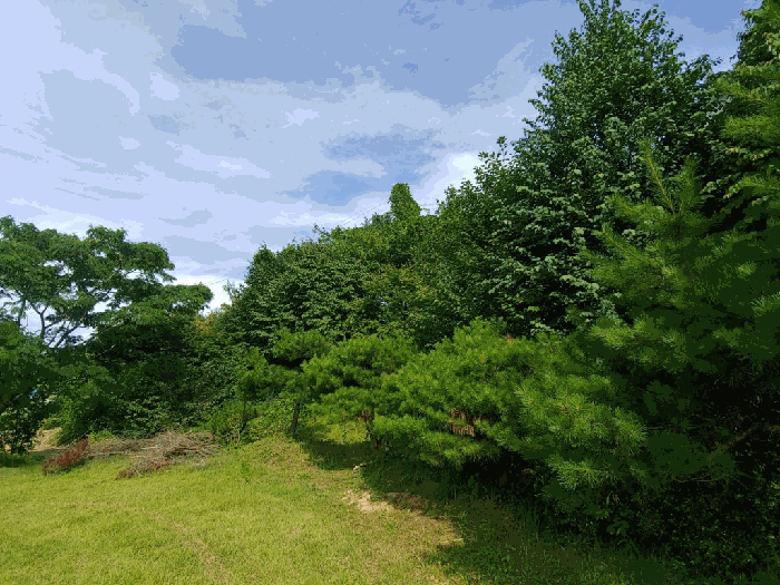 물건 사진 26