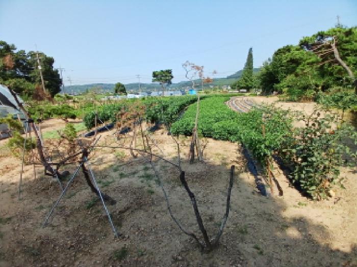 물건 사진 7