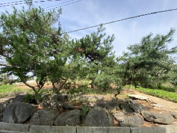 물건 사진 15