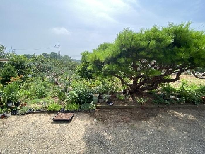물건 사진 20