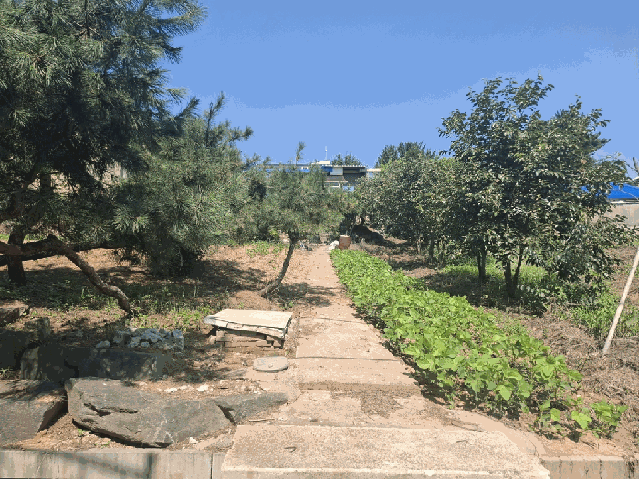 물건 사진 28