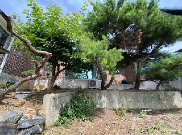 물건 사진 8