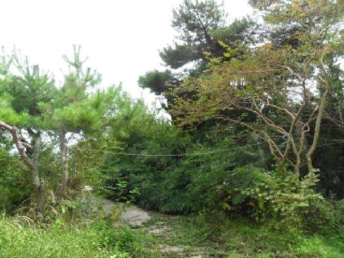 물건 사진 13