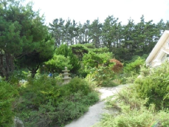 물건 사진 18