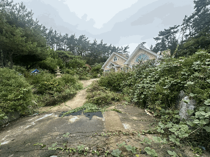 물건 사진 30