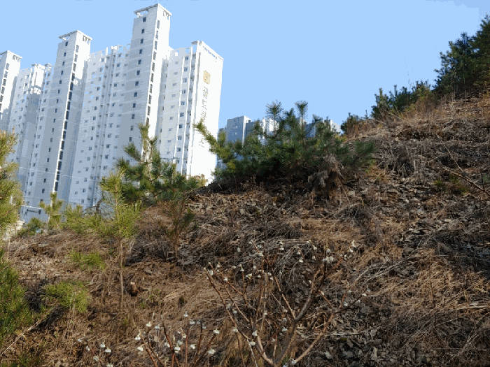 물건 사진 12