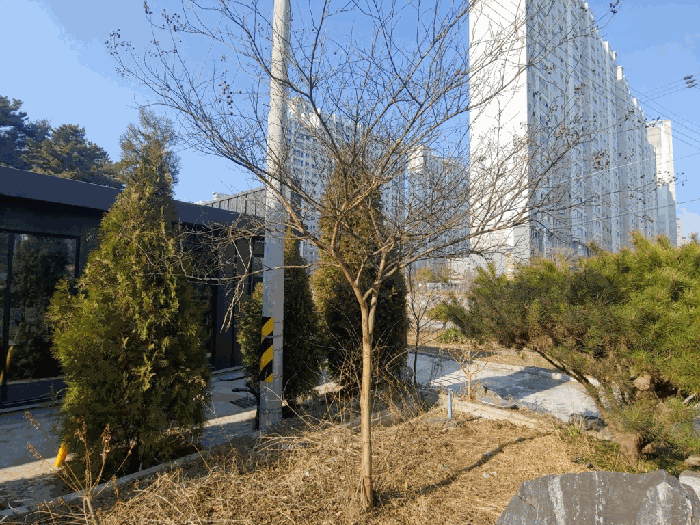 물건 사진 20