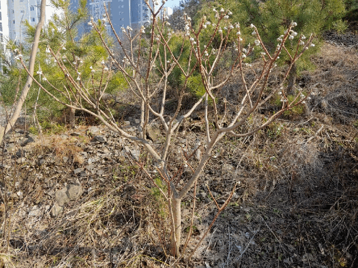 물건 사진 21