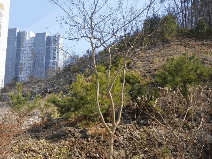 물건 사진 23