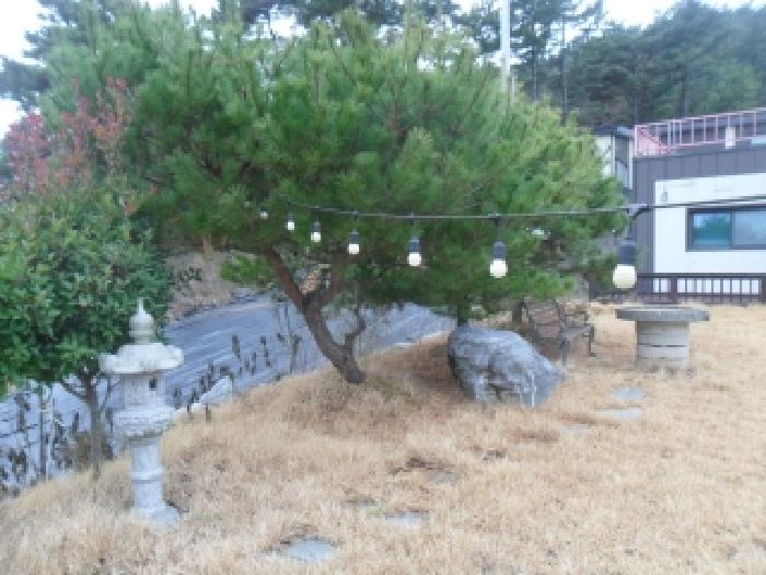 물건 사진 11