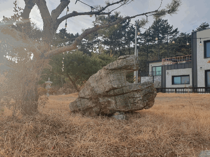 물건 사진 18
