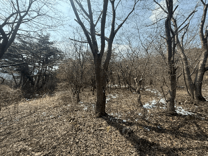 물건 사진 18