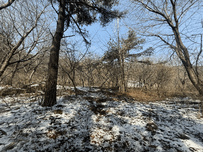 물건 사진 30