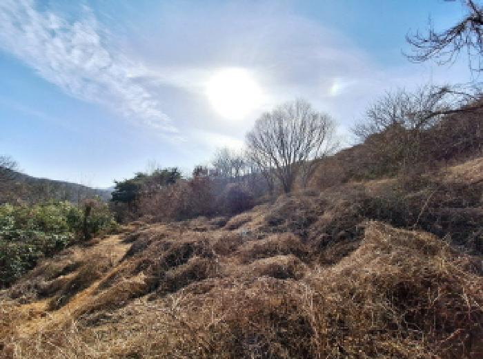 물건 사진 13