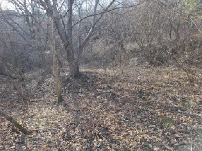물건 사진 16