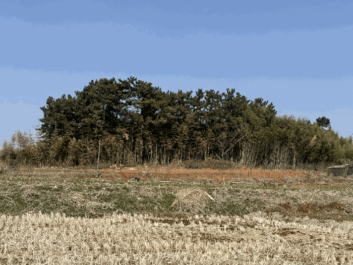 물건 사진 17