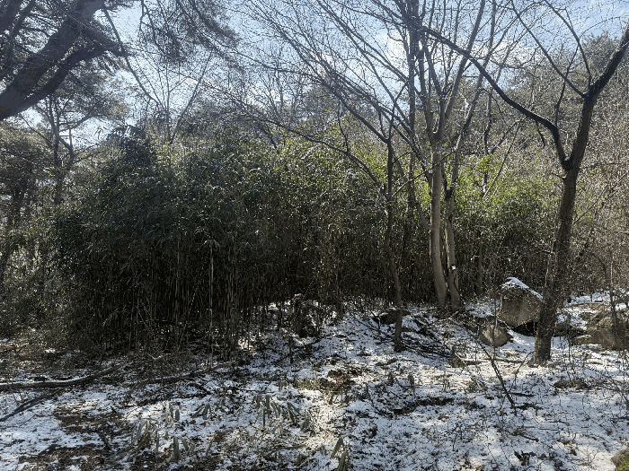 물건 사진 22