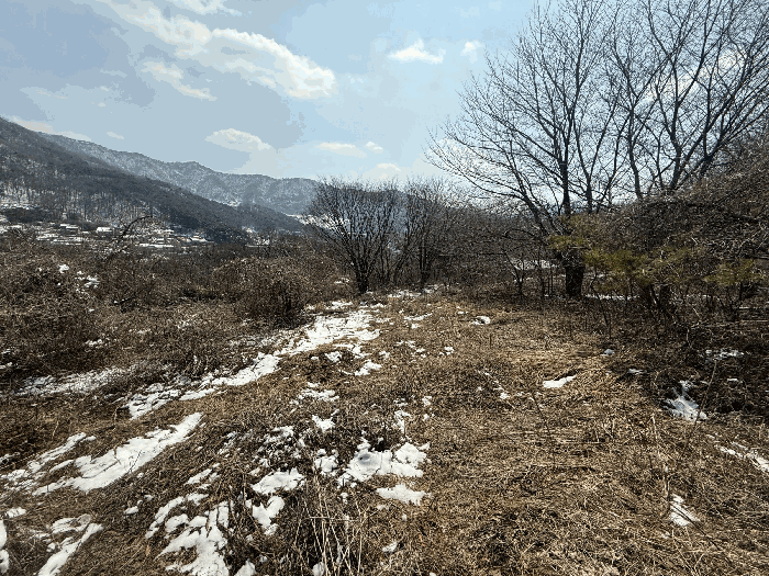 물건 사진 34