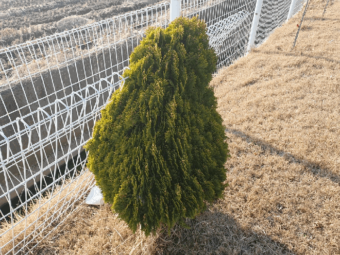 물건 사진 39