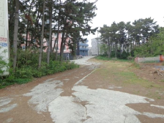 물건 사진 17