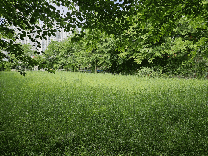 물건 사진 35