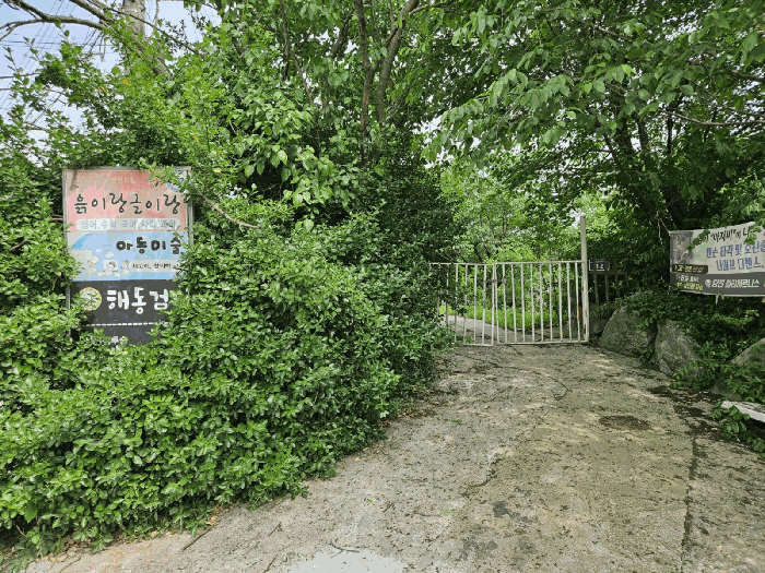 물건 사진 42