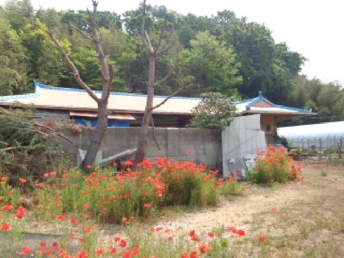 물건 사진 7