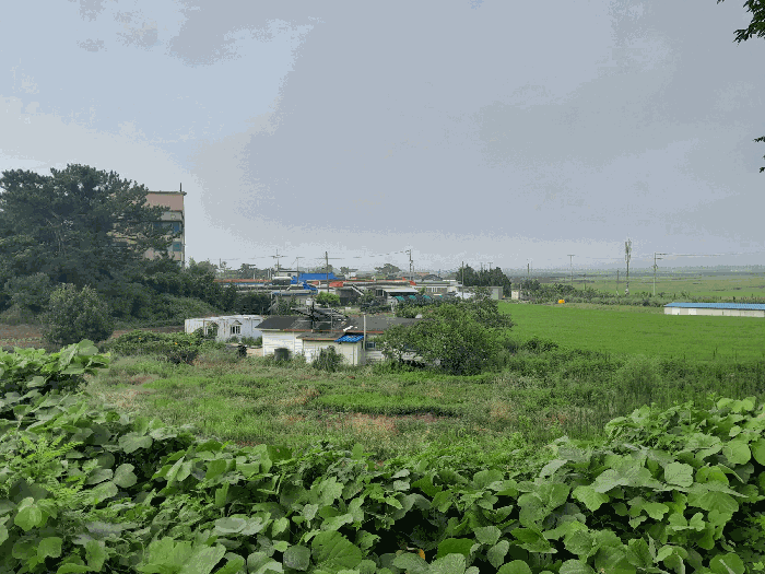 물건 사진 11