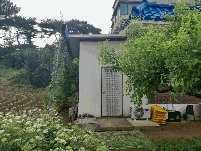 물건 사진 12