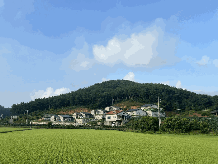 물건 사진 20