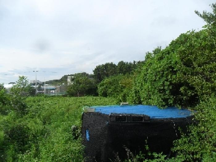 물건 사진 12