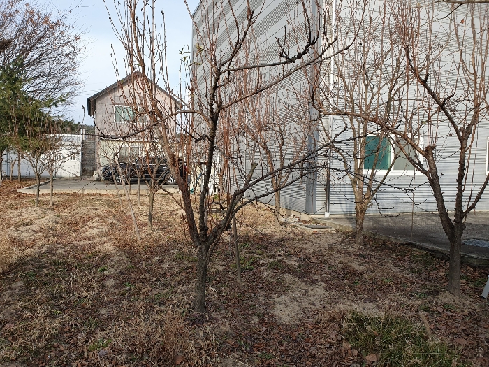 물건 사진 16