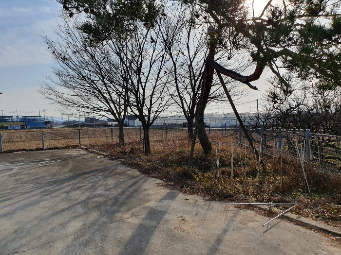 물건 사진 43