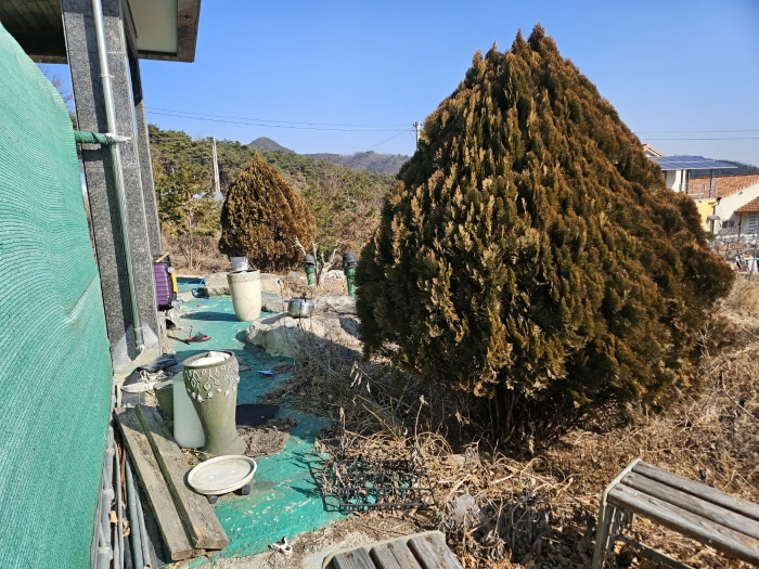 물건 사진 17