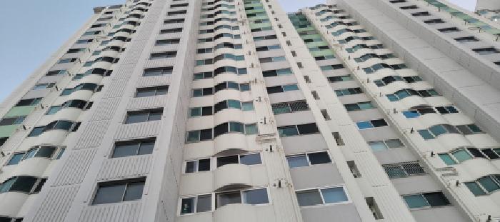 물건 사진 2