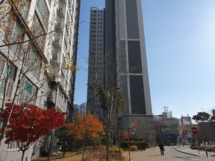 물건 사진 7