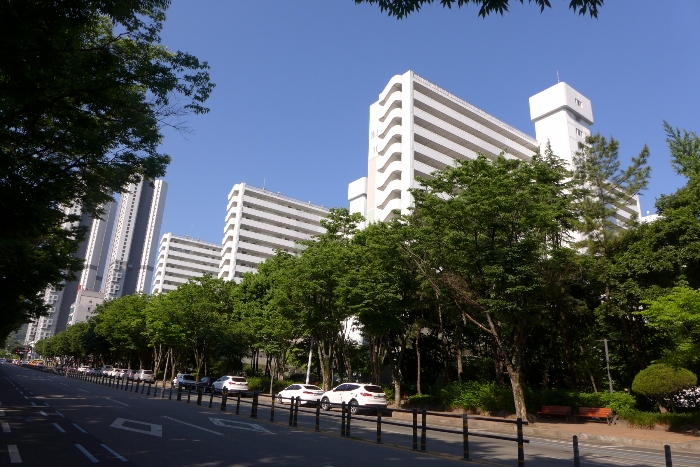 물건 사진 6