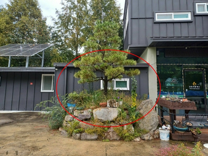 물건 사진 15