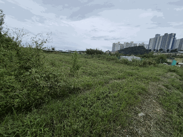 물건 사진 18