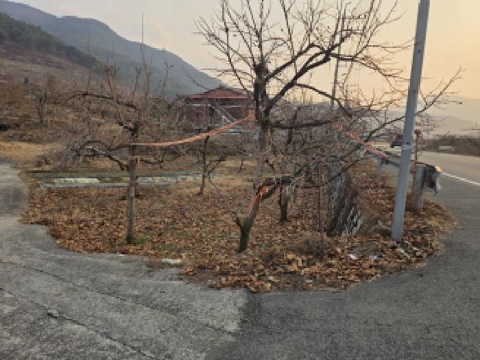 물건 사진 1